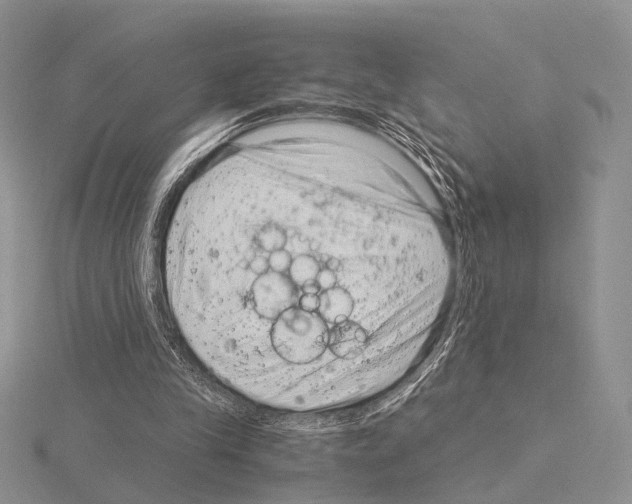 X0000115150245200912081353