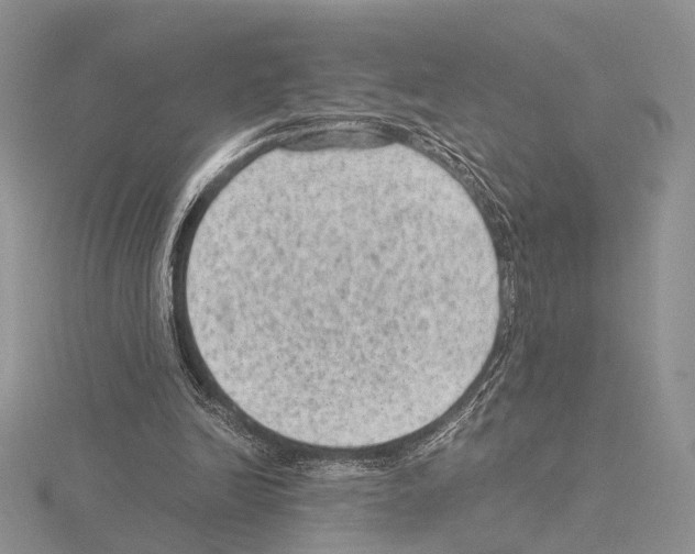 X0000115150246200912081353