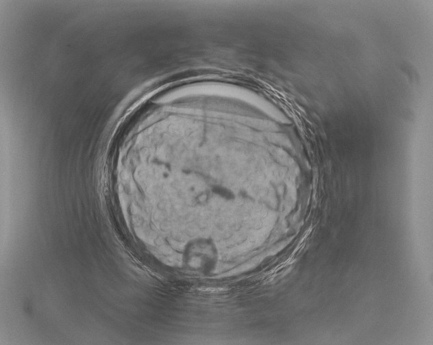 X0000115150247200912081353