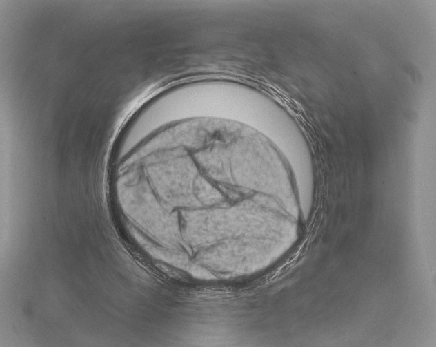 X0000115150248200912081353