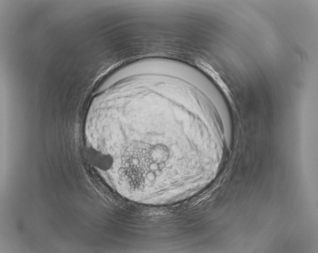 X0000115150249200912081353