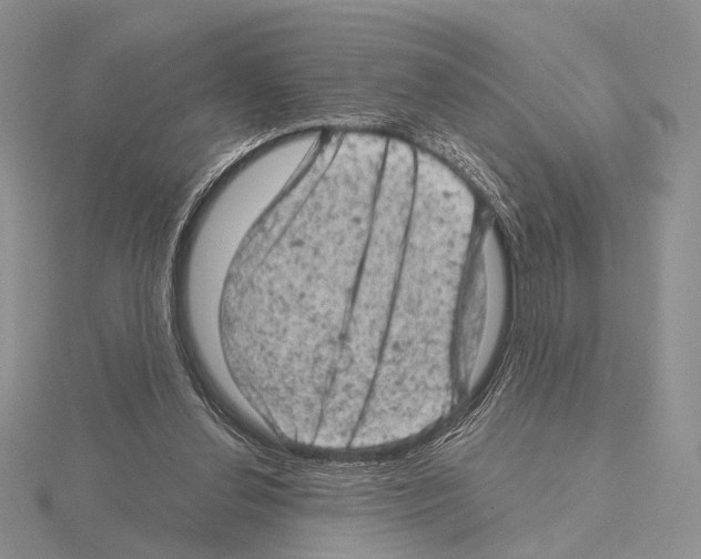 X0000115150252200912081353