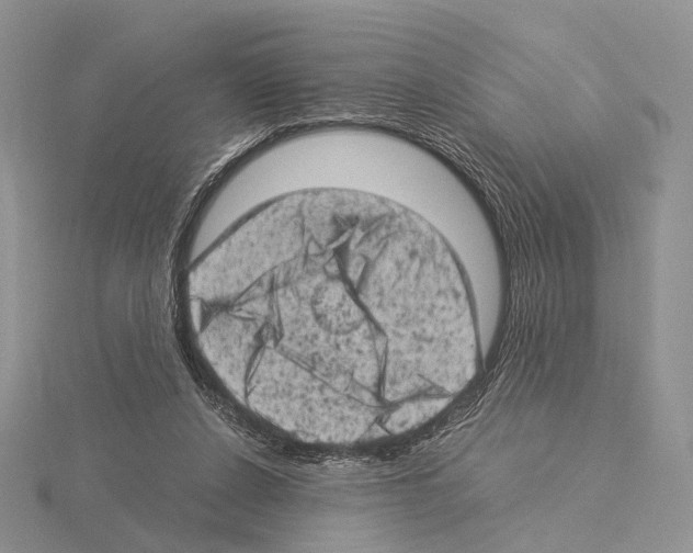 X0000115150256200912081353