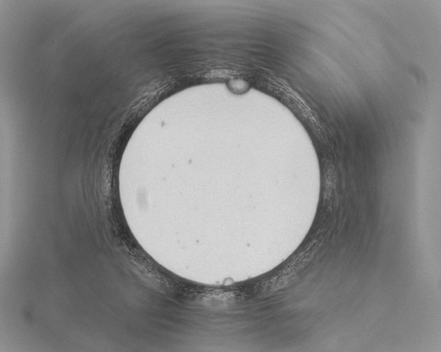 X0000115150257200912081353