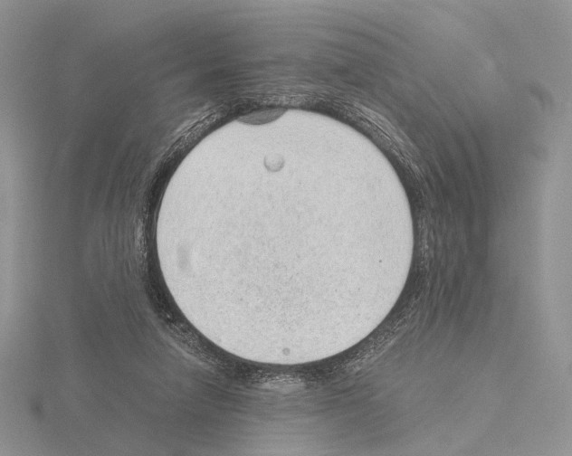 X0000115150258200912081353