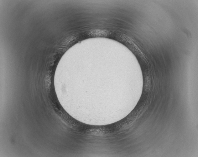 X0000115150259200912081353