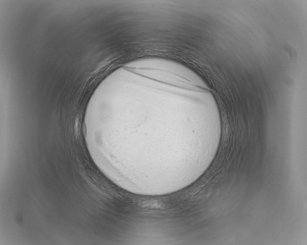 X0000115150262200912081353