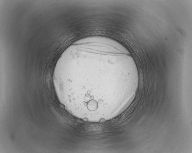 X0000115150263200912081353