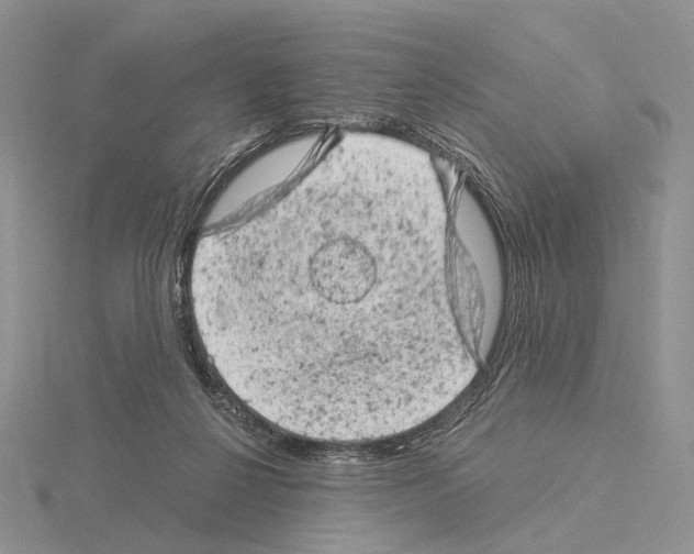 X0000115150264200912081353