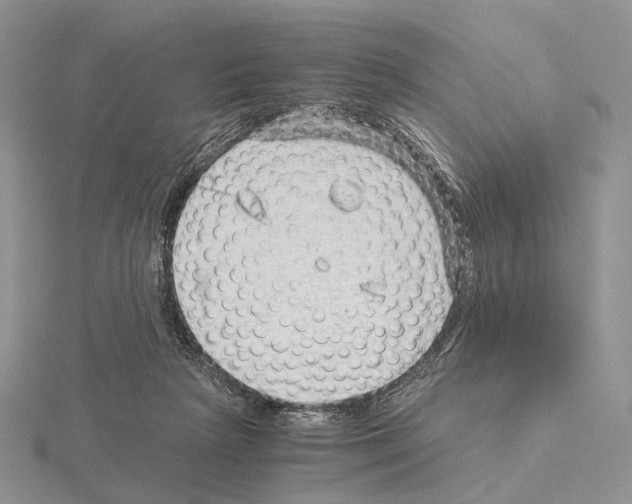 X0000115150265200912081353