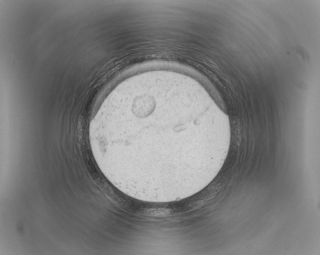 X0000115150266200912081353