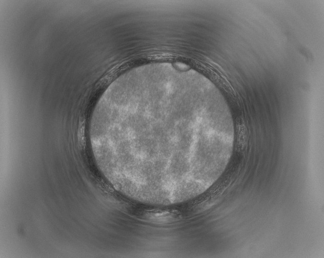 X0000115150267200912081353