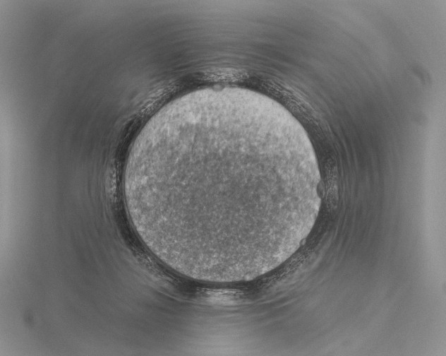 X0000115150268200912081353