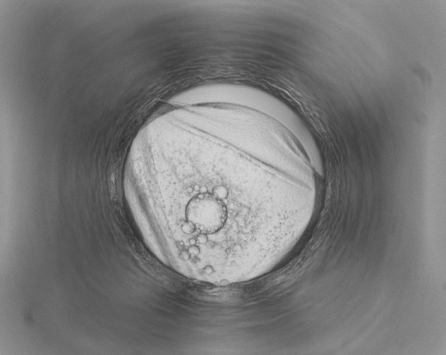 X0000115150269200912081353