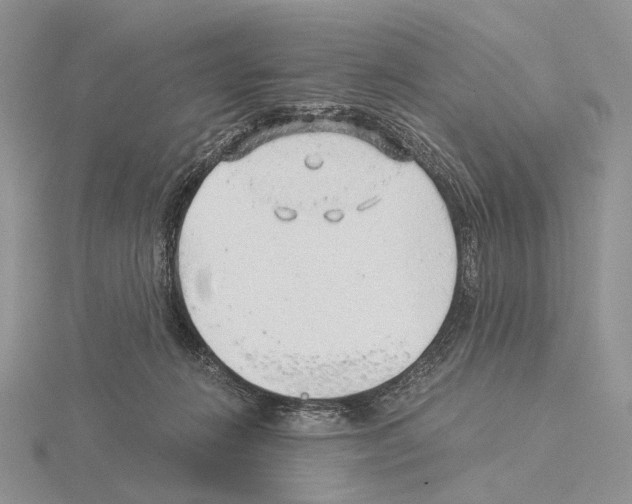 X0000115150270200912081353