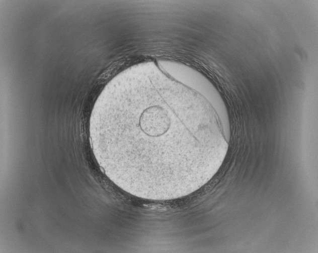 X0000115150272200912081353