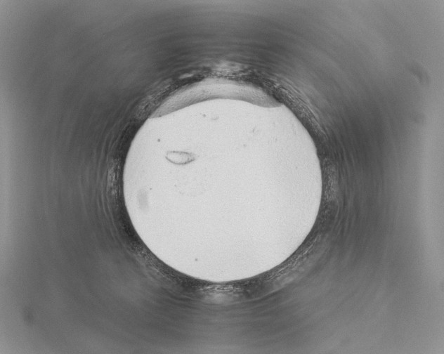 X0000115150273200912081353