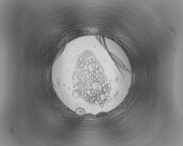 X0000115150274200912081353