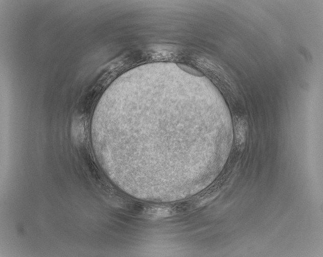 X0000115150276200912081353