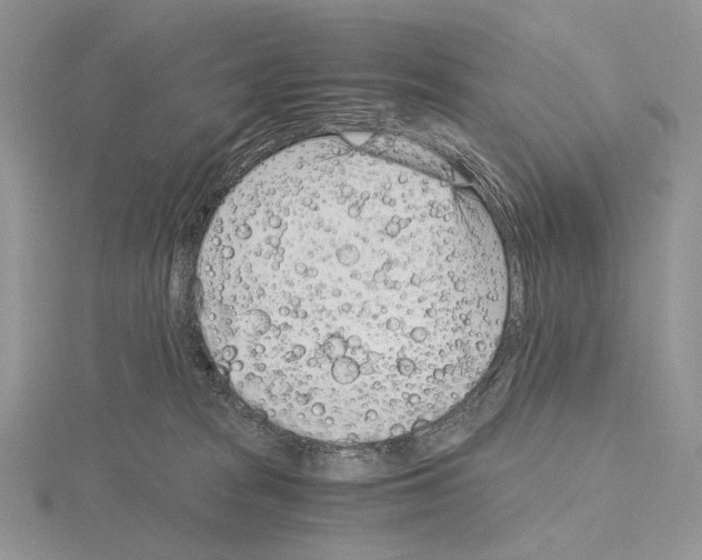 X0000115150277200912081353