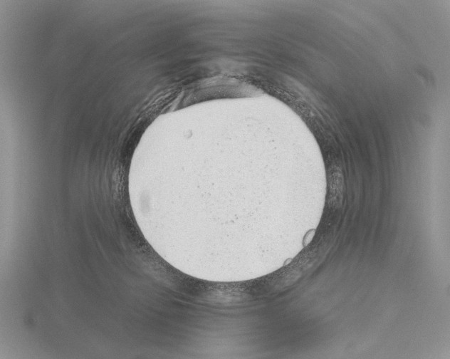 X0000115150278200912081353