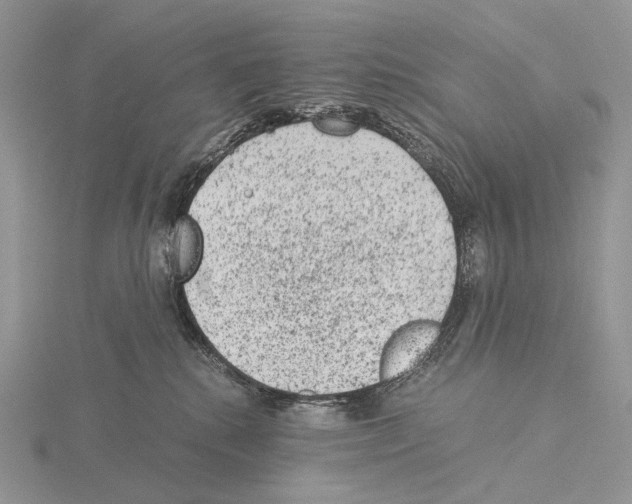 X0000115150280200912081353