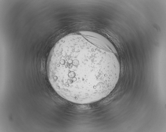 X0000115150281200912081353