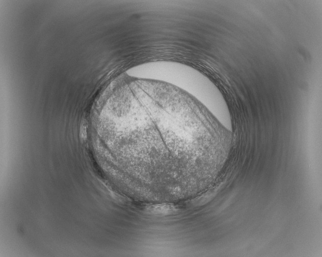 X0000115150282200912081353