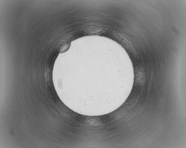 X0000115150283200912081353