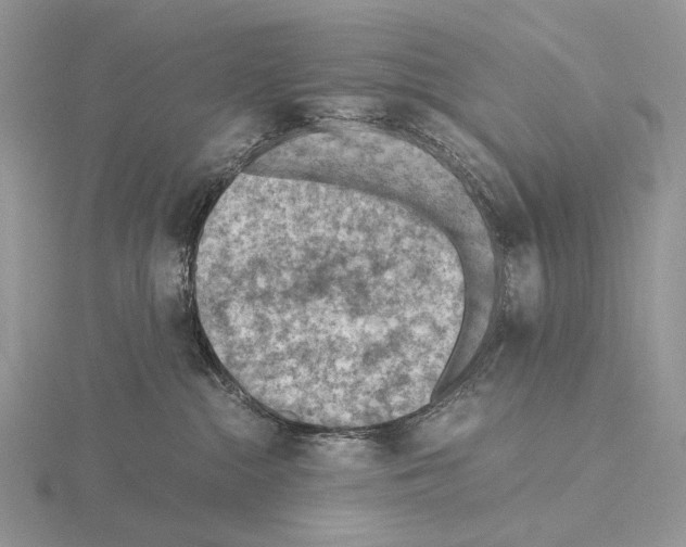 X0000115150284200912081353