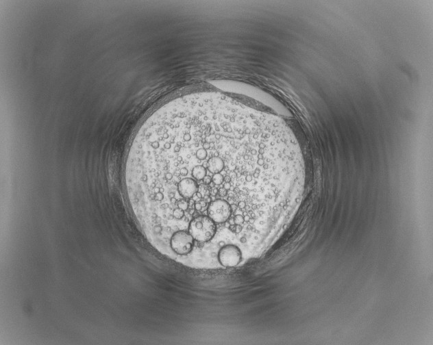 X0000115150285200912081353