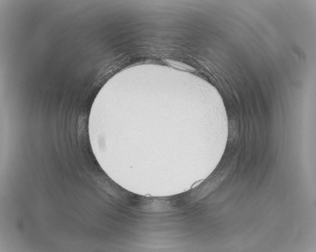 X0000115150286200912081353