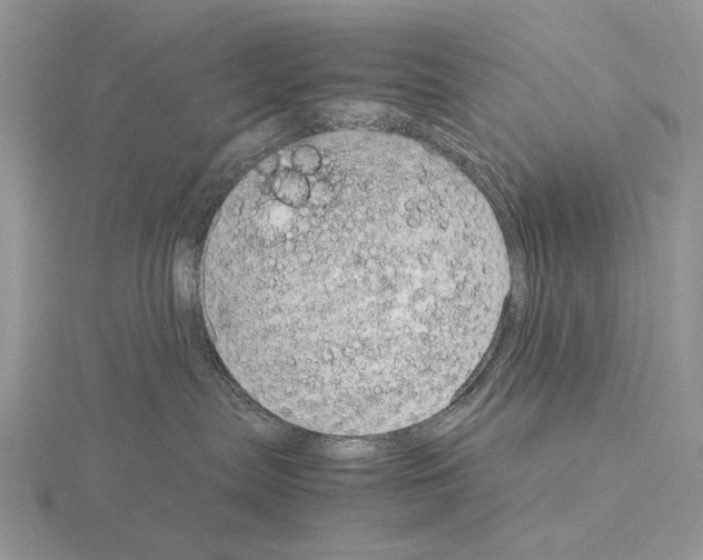 X0000115150287200912081353