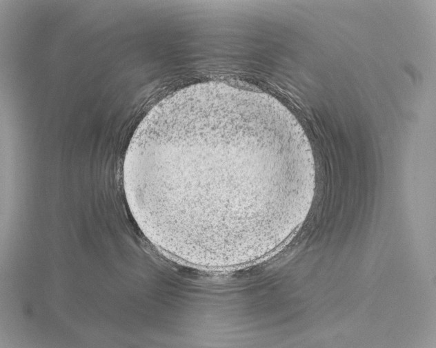 X0000115150288200912081353