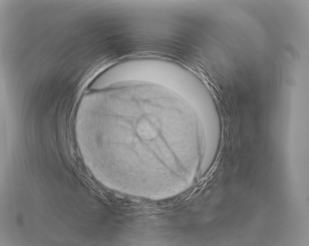 X0000115150289200912081352