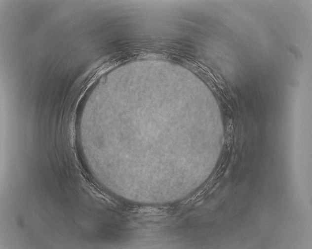 X0000115150290200912081352