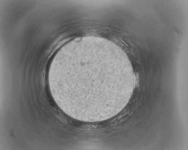 X0000115150291200912081352