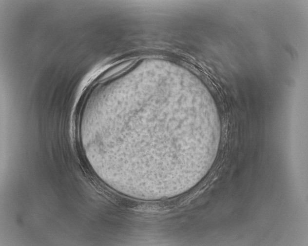 X0000115150294200912081352