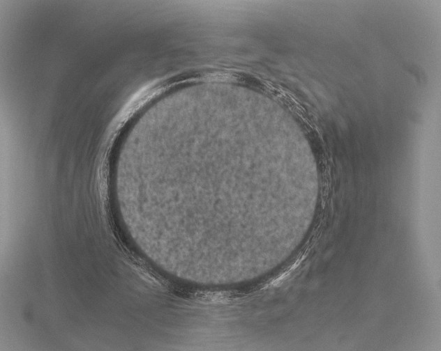 X0000115150295200912081352