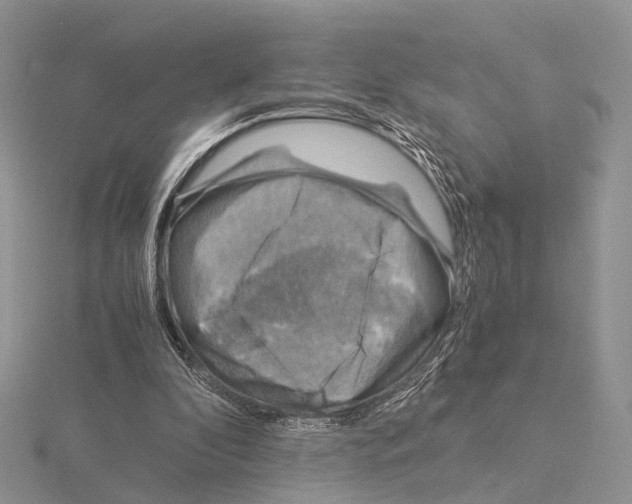 X0000115150296200912081352