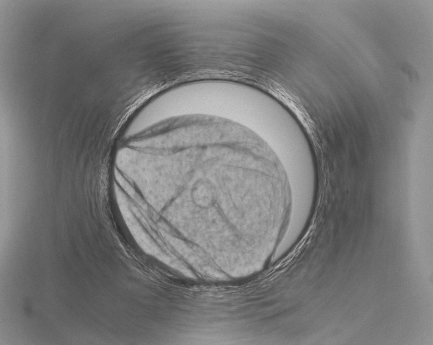 X0000115150297200912081352