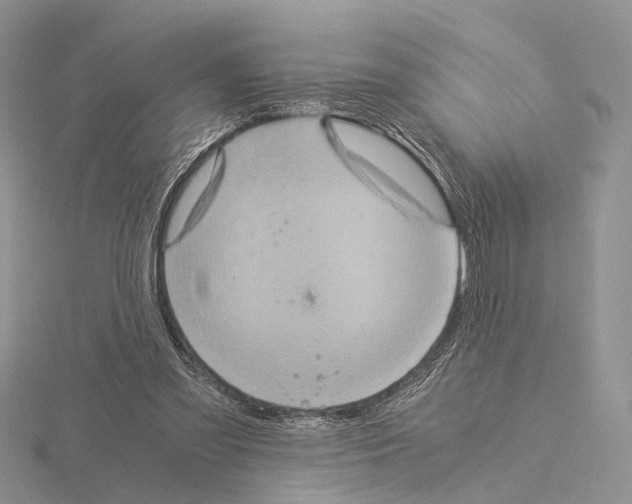 X0000115150301200912081352