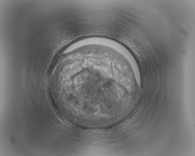 X0000115150303200912081352