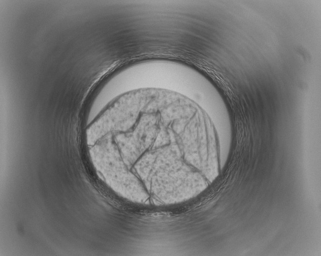 X0000115150304200912081352