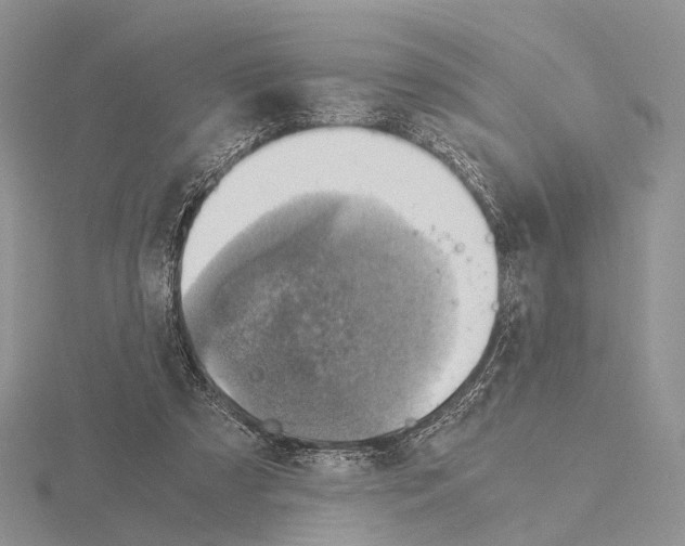 X0000115150305200912081352