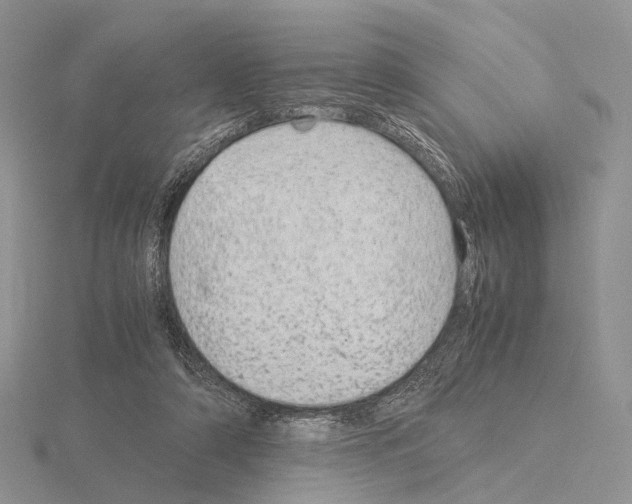 X0000115150306200912081352