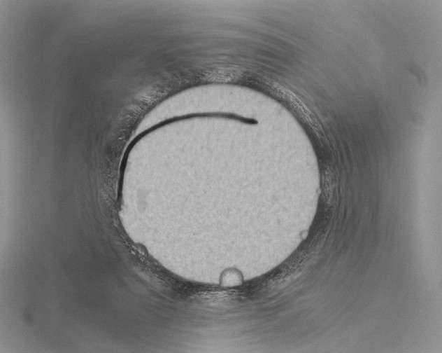 X0000115150307200912081352