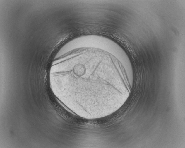 X0000115150308200912081352