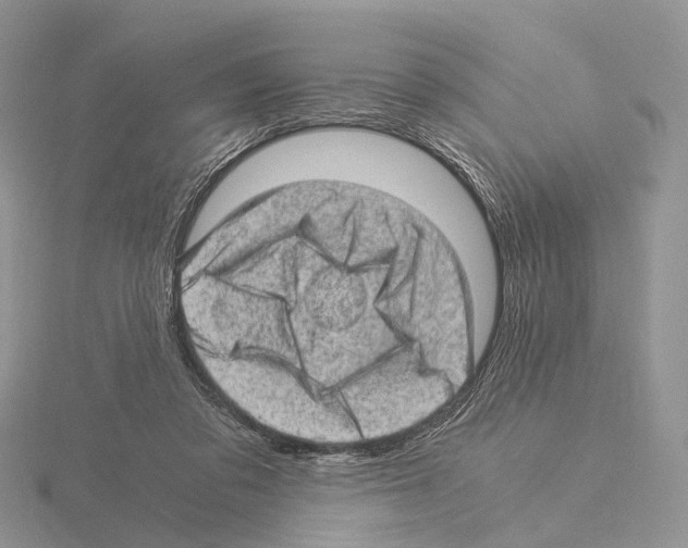 X0000115150309200912081352