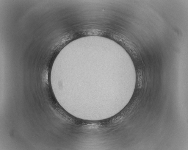 X0000115150310200912081352